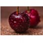 Prunus avium Sweet Cherry Tree 20 US seeds