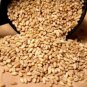 Organic Triticum m Einkorn 100 US Seeds
