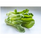 Brassica rapa Pak Choi Chinese Cabbage 800 US seeds