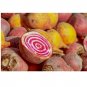 100 US seeds Choggia Beet Heirloom Culinary SELECT Beta vulgaris NON GMO