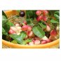 Rhamnus caroliniana Deciduous Indian Cherry Tree 10 US seeds