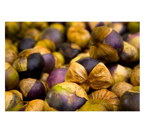 Physalis ixocarpa Purple Tomatillo Heirloom NON GMO 25 US seeds