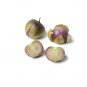 Physalis ixocarpa Purple Tomatillo Heirloom NON GMO 25 US seeds
