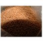 48000 US Seed White Mustard PURE Sinapis Alba