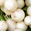50 US seeds Watermelon Radish Culinary Roseheart radish and Beauty heart
