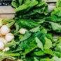 50 US seeds Watermelon Radish Culinary Roseheart radish and Beauty heart