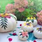 5 US seeds Casper Pumpkin Curcubita pepo