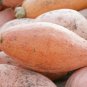 20 US seeds Jumbo Pink Melon