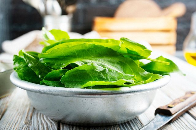 500 US Seeds BROAD LEAF SORREL