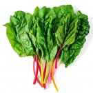 100 US Seeds Rainbow Swiss Chard Non GMO Heirloom Vegetable