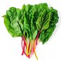 100 US Seeds Rainbow Swiss Chard Non GMO Heirloom Vegetable