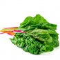 100 US Seeds Rainbow Swiss Chard Non GMO Heirloom Vegetable
