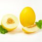 10 US seeds Mango Melon Cucumis melo var chito