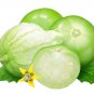 200 US Seeds Tomatillo Green Husk