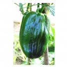 Capsicum annuum Emerald Giant Sweet Bell 30 US seeds