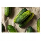 SMR 58 PICKLING CUCUMBER 50 US SEEDS