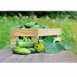 SMR 58 PICKLING CUCUMBER 50 US SEEDS