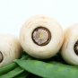 200 US seeds Harris Early model Parsnip Organic NON GMO&Acirc;&nbsp;