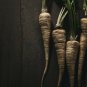 200 US seeds Harris Early model Parsnip Organic NON GMO&Acirc;&nbsp;