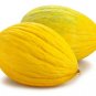 Cucumis melo Crenshaw Sweet Melon Heirloom 40 US seeds
