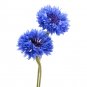 Centaurea cyanus Dwarf Jubilee Gem 300 US seeds