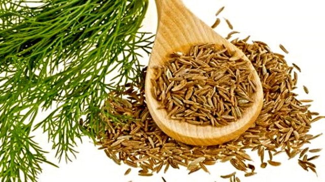 50 US seed Organic Cumin