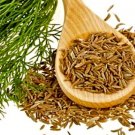 50 US seed Organic Cumin