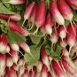 200 US seeds French Breakfast Radish Heirloom NON GMO