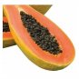 VERY LARGE DELICIOUS Papaya 25 US seeds
