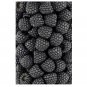 100 US seeds Blackberry Moras