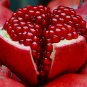 punica granatum Pomegranate ariana variety 20 US seeds