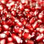 punica granatum Pomegranate ariana variety 20 US seeds