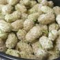 20 US seeds White Mulberry