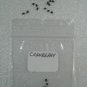 Cranberry fresh 30 US seeds