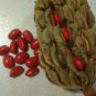 30 US seeds Southern Magnolia