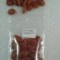 30 US seeds Southern Magnolia