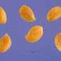 DELLICIOUS White Fig 30 US seeds