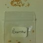 100 US seeds Broadleaf Plantain