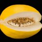 25 US seeds Yellow Honey Dew Melon