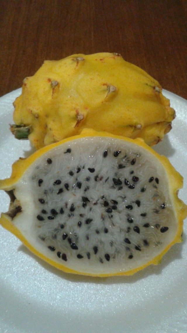 DELICIOUS Dragon Fruit Yellow 20 US seeds