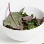 VEGE Wild Spinach Chenopodium giganteum Giant Lambs Quarters 1000 US SEEDS