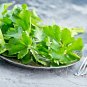 10000 US SEEDS BULK CELERY