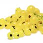 20 us Seeds Golden Currant Berry Ribes Aureum