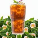 Camellia sinensis Black White Green Tea Leaf Tree Plant 5 US Seeds
