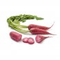 2500 US Seeds Red Arrow Radish BULK