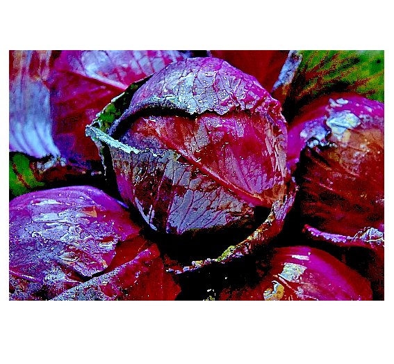 500 US Seeds Vegetable Cabbage Red Acre Heirloom Non GMO Garden Fresh