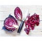 500 US Seeds Vegetable Cabbage Red Acre Heirloom Non GMO Garden Fresh