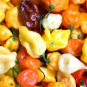20 US Seeds Pepper Rainbow Habanero Mix