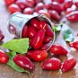 Cornelian Cherry Fruit Tree 20 US Seeds