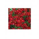 500 US Seeds Plains Coreopsis Flower TALL RED